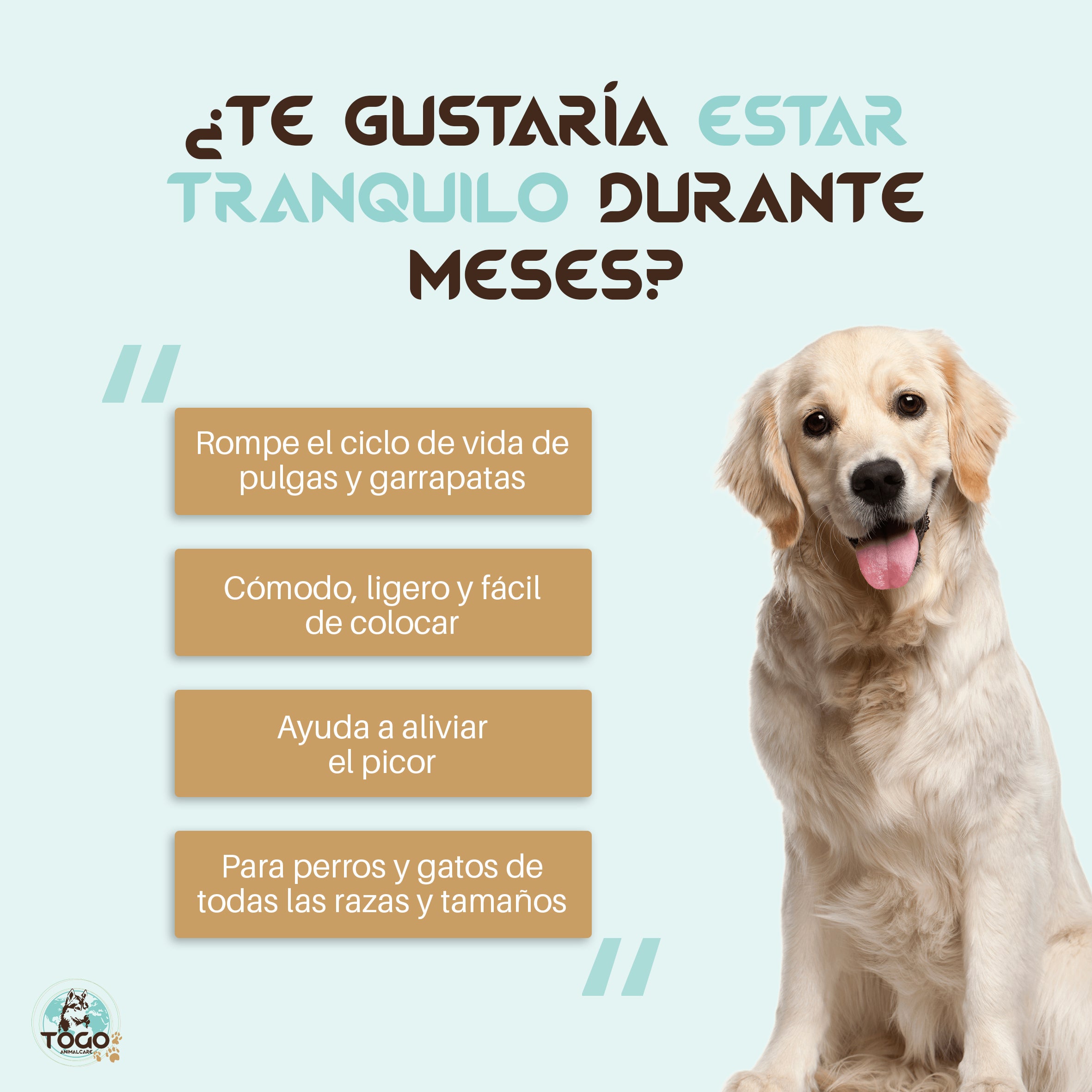Collares Repelente Antipulgas y Garrapatas para Perros y Gatos | 8 Meses de Protección | Waterproof (2 unidad al 70%)