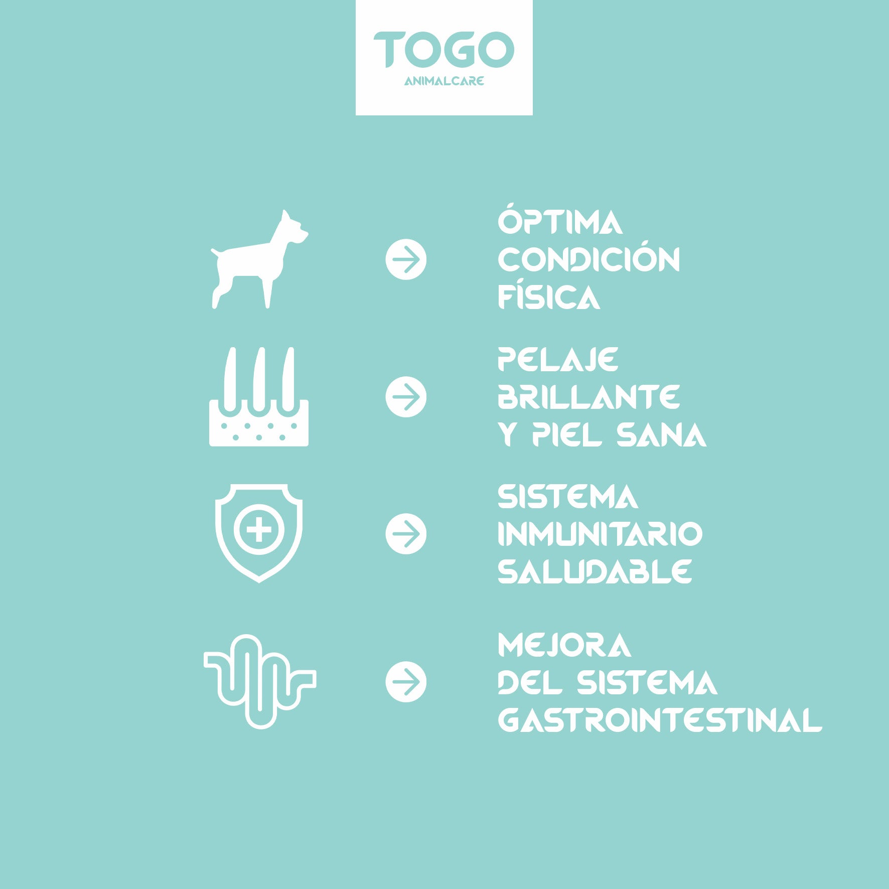 Veggie | Alimentación Seca Natural Sin Cereales