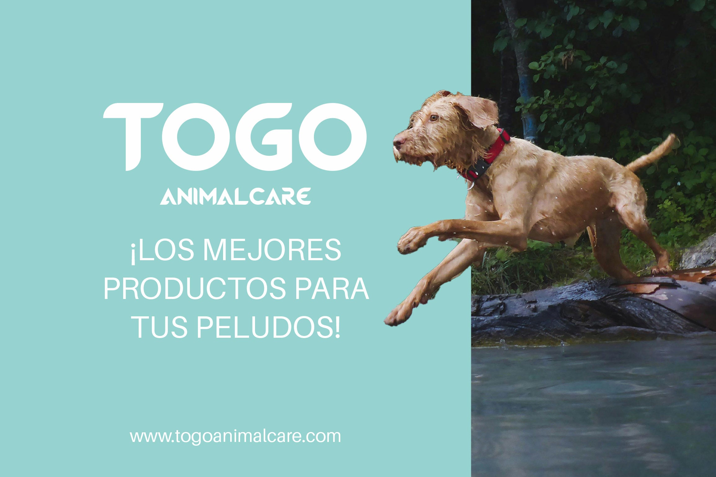 Tiras de Pollo Deshidratados | Snacks Naturales