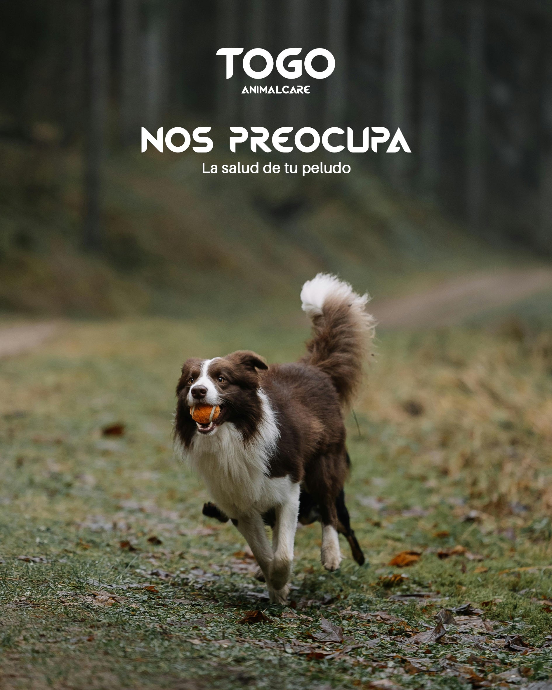 Salmón Natural Hipoalergénico