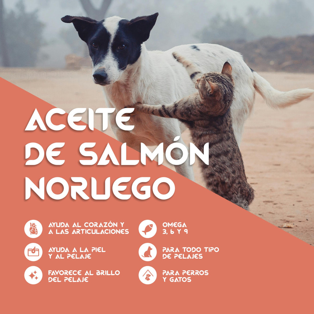Aceite de Salmón con Condroprotectores