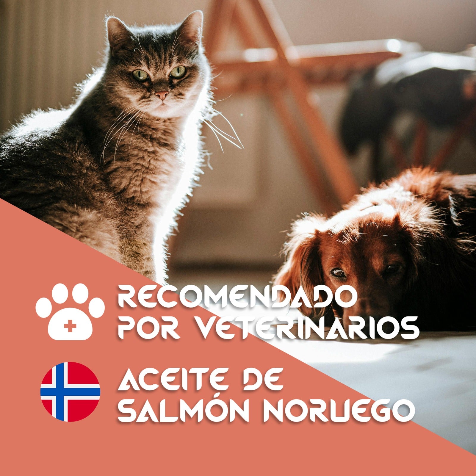 Aceite de Salmón con Condroprotectores